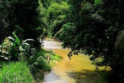 Kampong Bako Cycle and Meal