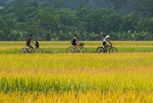 Rural Villages by Bike