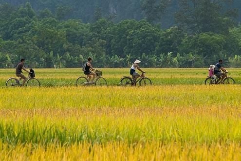 Vietnam Family Adventure 