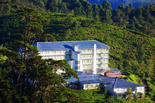 Tea Factory