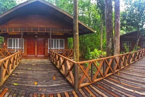 Borneo Nature Lodge