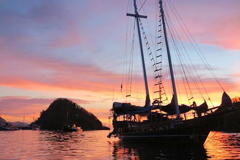 Ikan Terbang Cruise