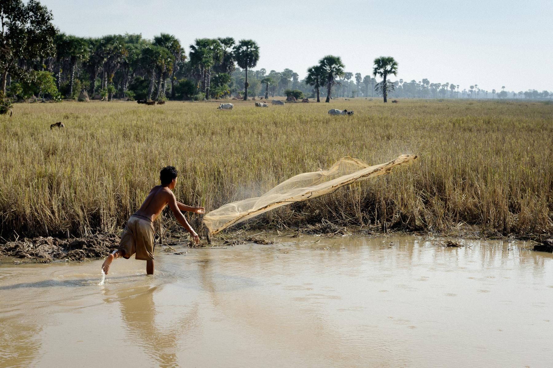  The Mekong In Style