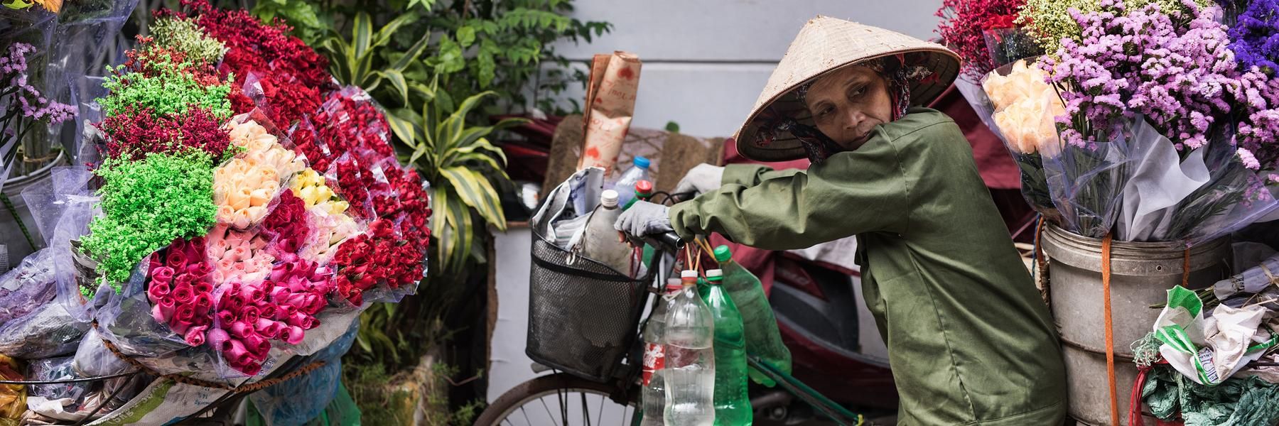 Vietnam: the Highlights & Far Beyond