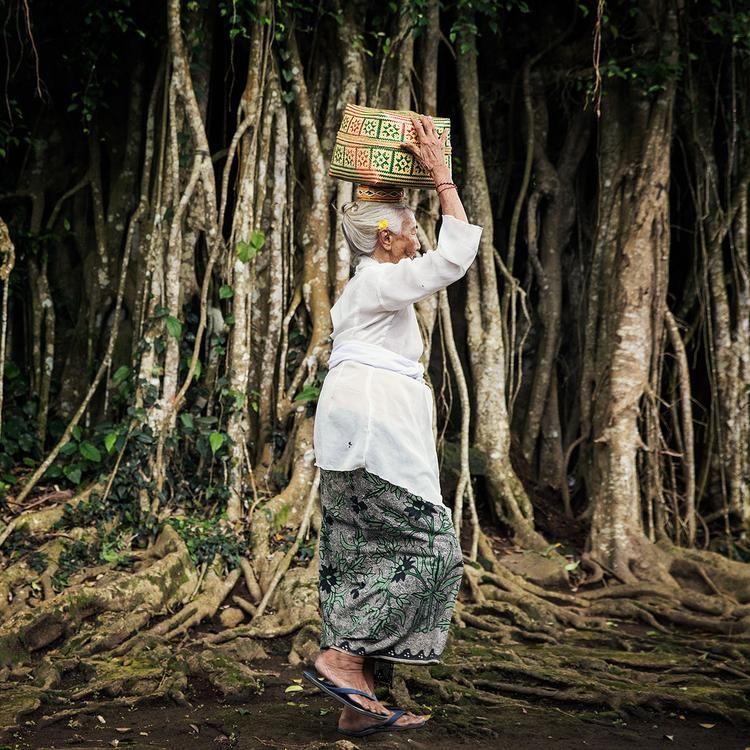 Bali and Lombok Family Adventure