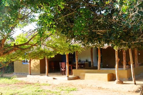 Back of Beyond Yala