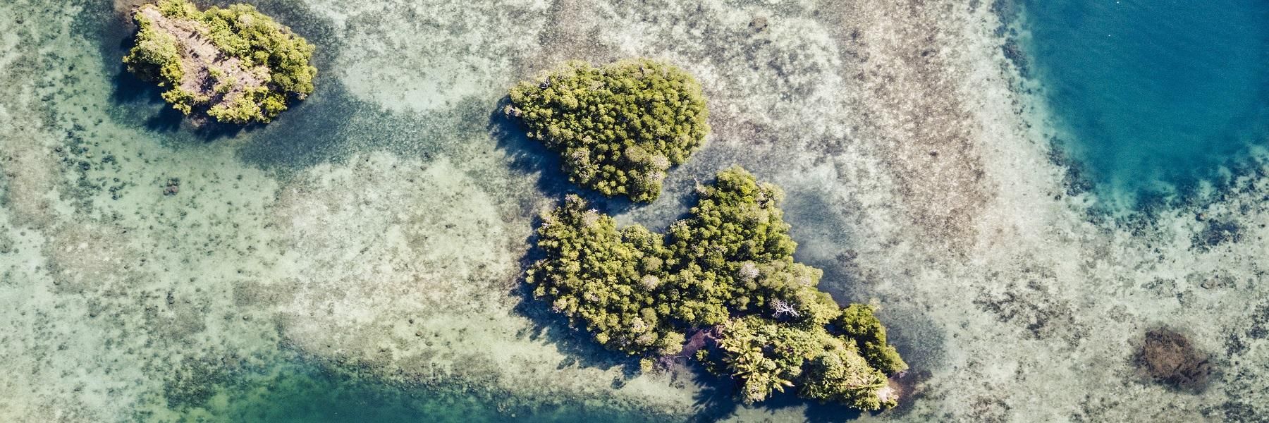 Diving & Snorkeling in Bunaken, Bunaken Marine Park, North Sulawesi