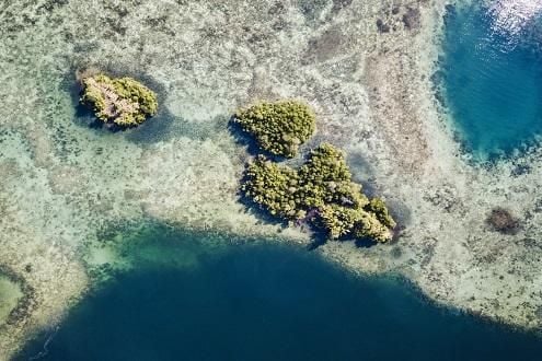 Diving & Snorkeling in Bunaken