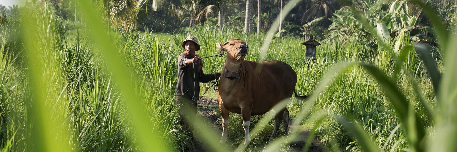 Why Visit Southeast Sulawesi?