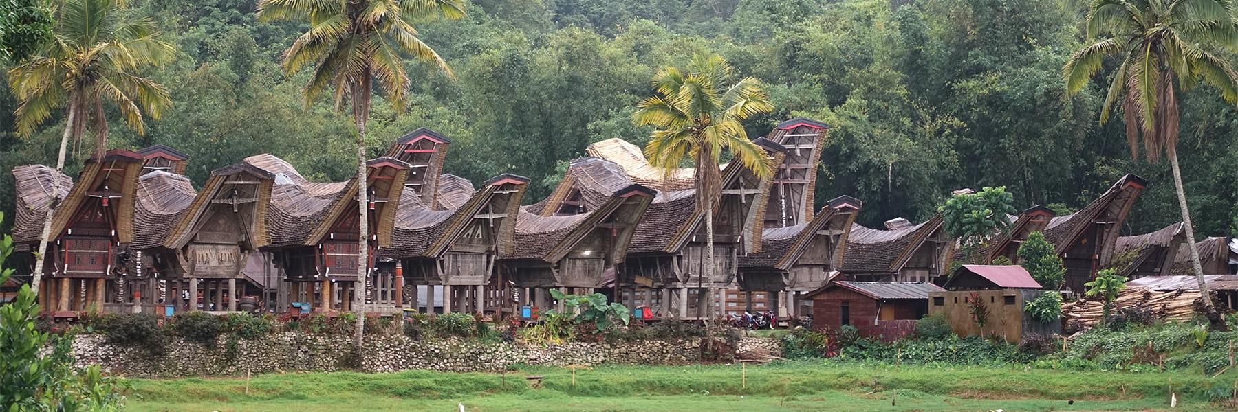 Why Visit Tana Toraja?