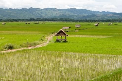 Luang Namtha Cycling Tour