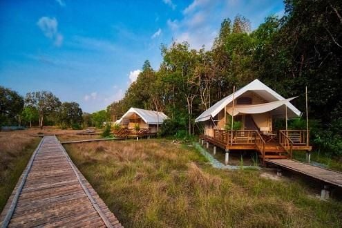 Cardamom Tented Camp