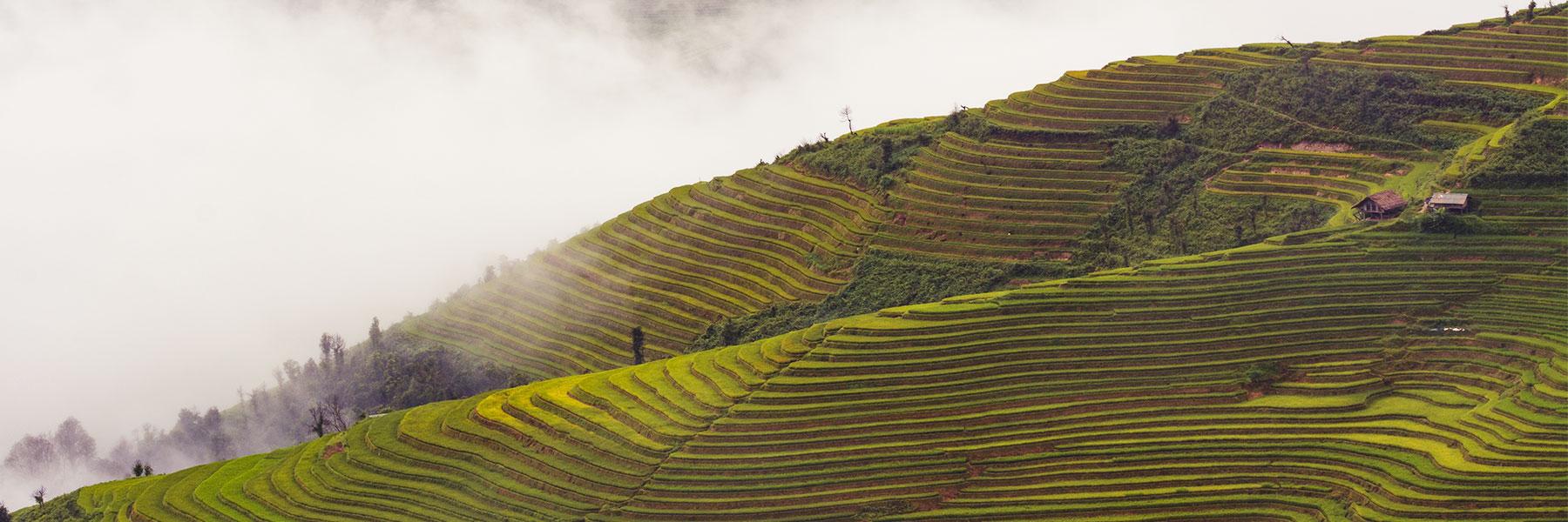 Why Visit Mai Chau?