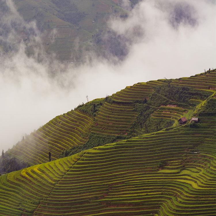 Why Visit Mai Chau?