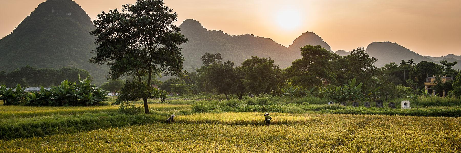 Why Visit Cat Tien National Park?