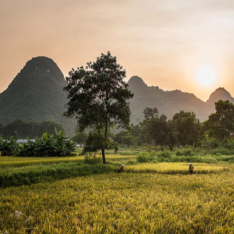 Why Visit Cat Tien National Park?