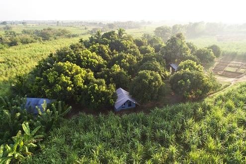 Camp Hasthi