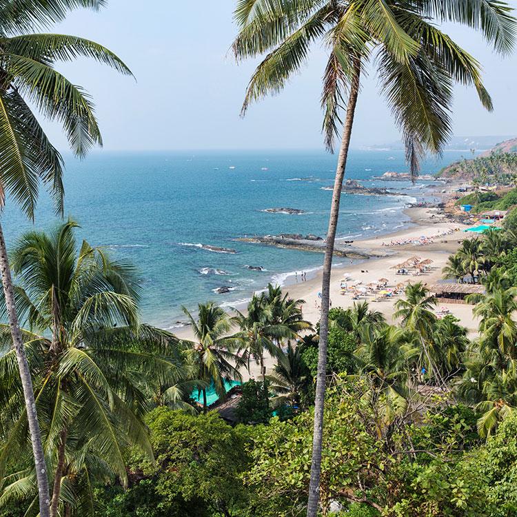 The Beaches of Kerala