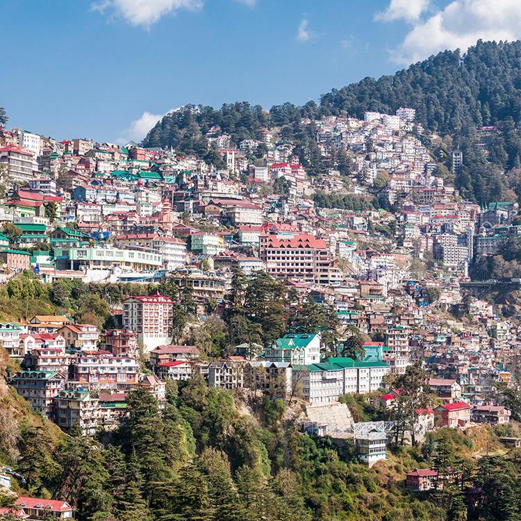 Shimla