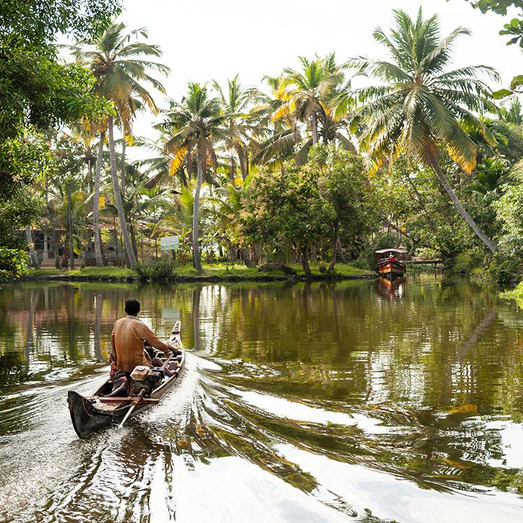 The Kerala Backwaters