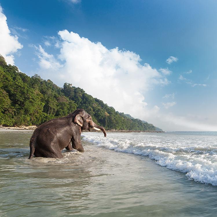 Andaman Islands