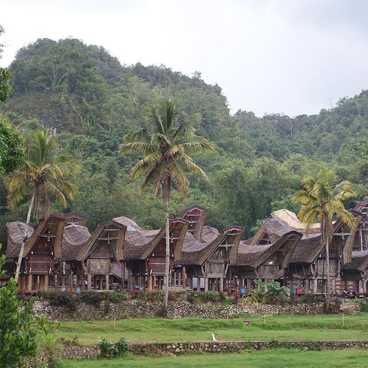 Why Visit Tana Toraja?