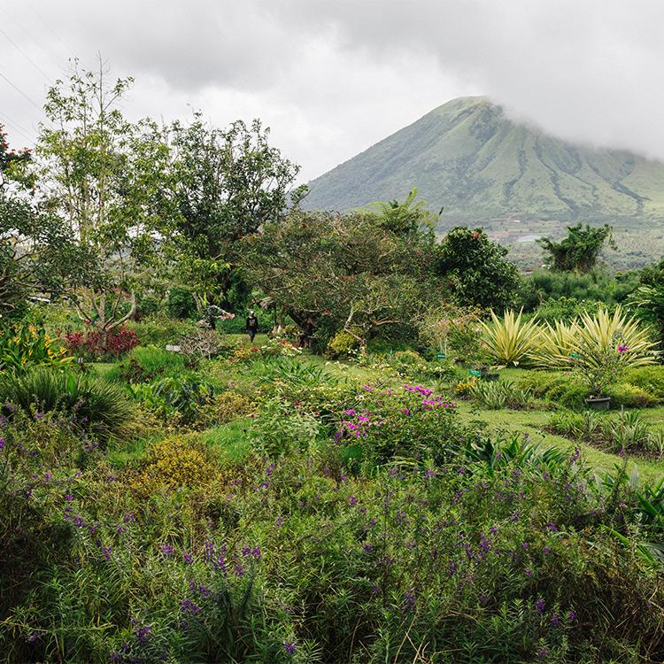 Why Visit The Minahasa Highlands?