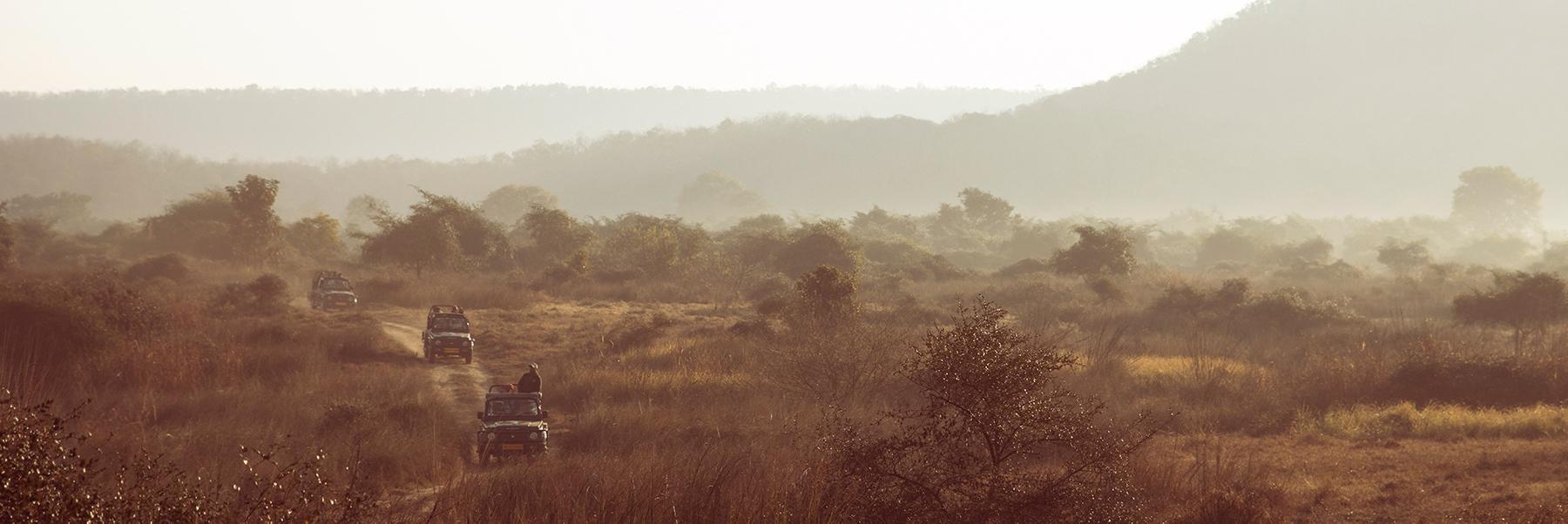 A Journey through Madhya Pradesh