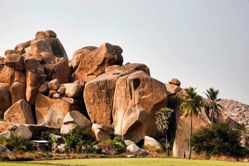 Wild Karnataka and Beach