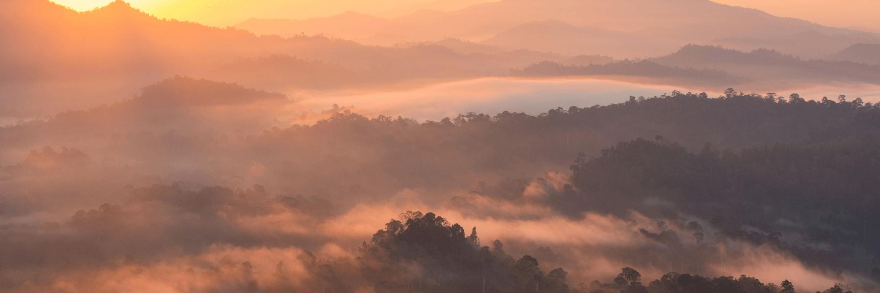 Off The Beaten Track in Borneo 