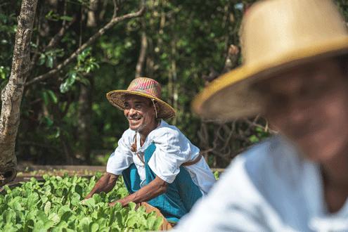 Myanmar to Thailand via the Mergui Islands