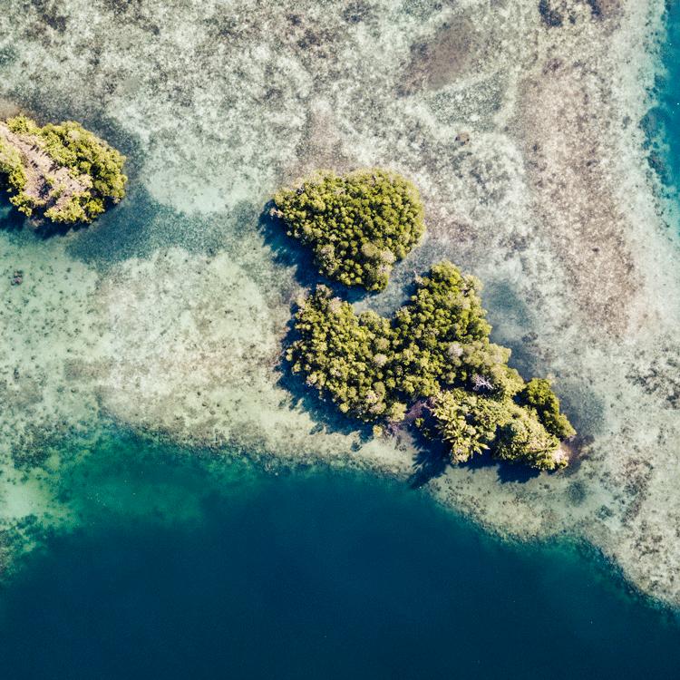 Java and Sulawesi Adventure
