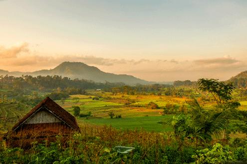 Hidden Gems of Java and Bali