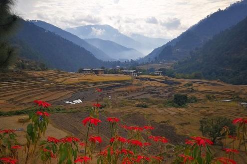 Punakha Samtengang Winter Trek