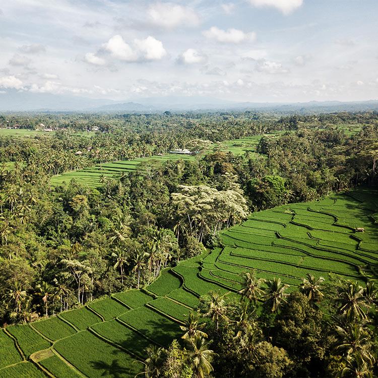 Why Visit Ratanakiri?