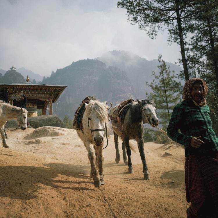 Why visit Paro Valley?