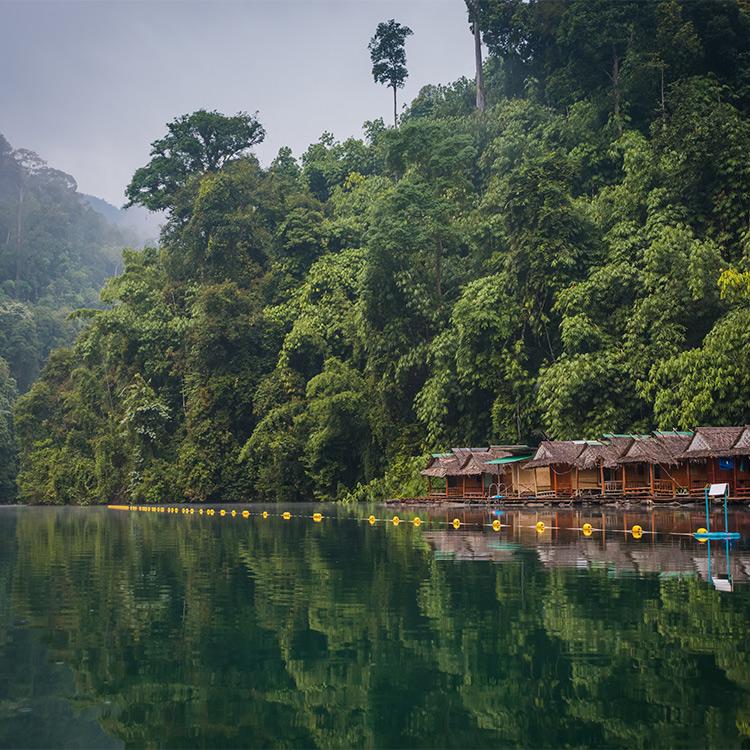 Why Visit Khao Sok National Park?