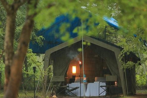 Big Game Camp Wilpattu