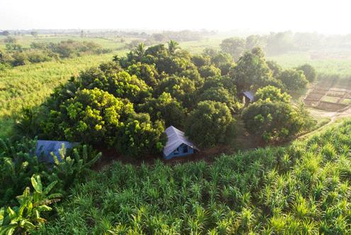 Sri Lanka Summer Family Adventure