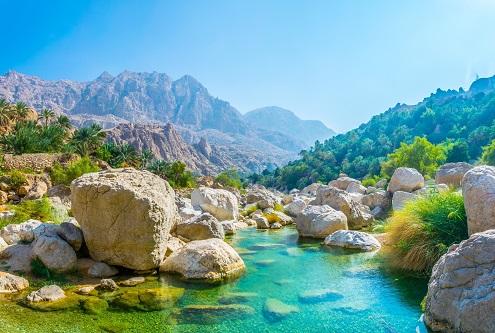 Coastal Highlights from Muscat to Sur