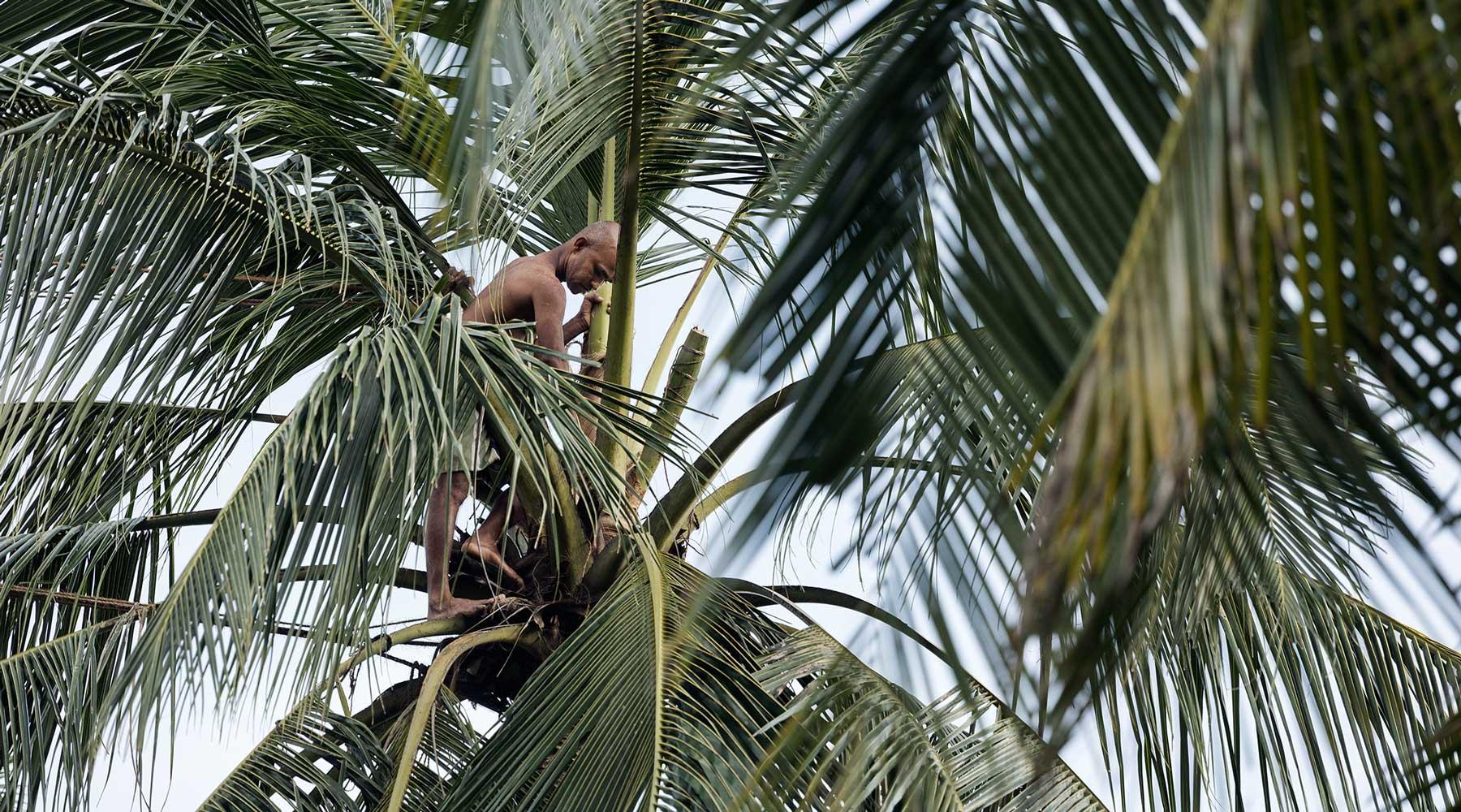 Best Time to Visit Sri Lanka: Weather and Festivals Guide