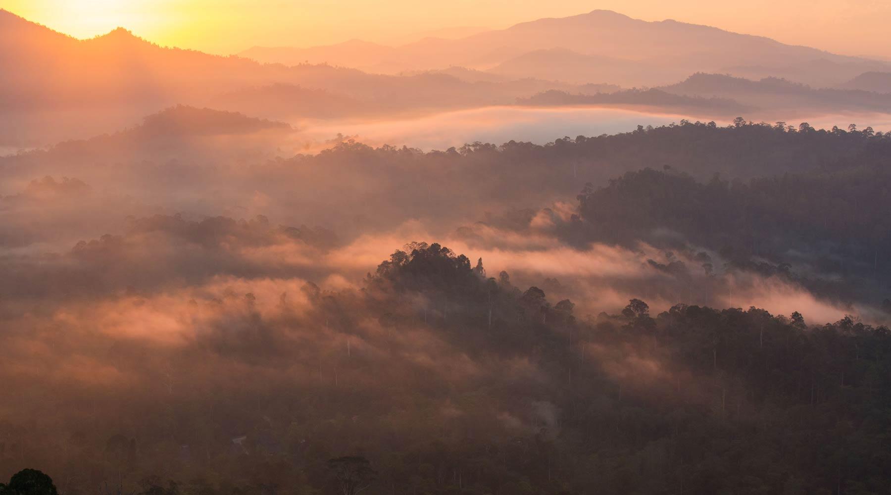 Danum Valley