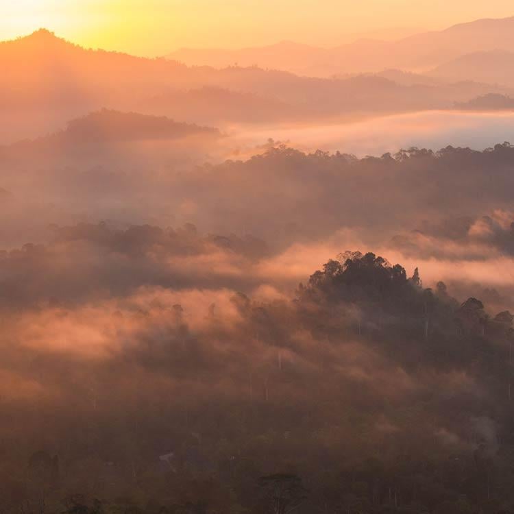 Danum Valley