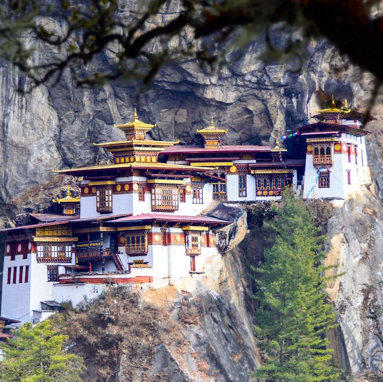Immersive BHUTAN holidays