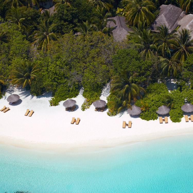 Immersive holidays in the MALDIVES