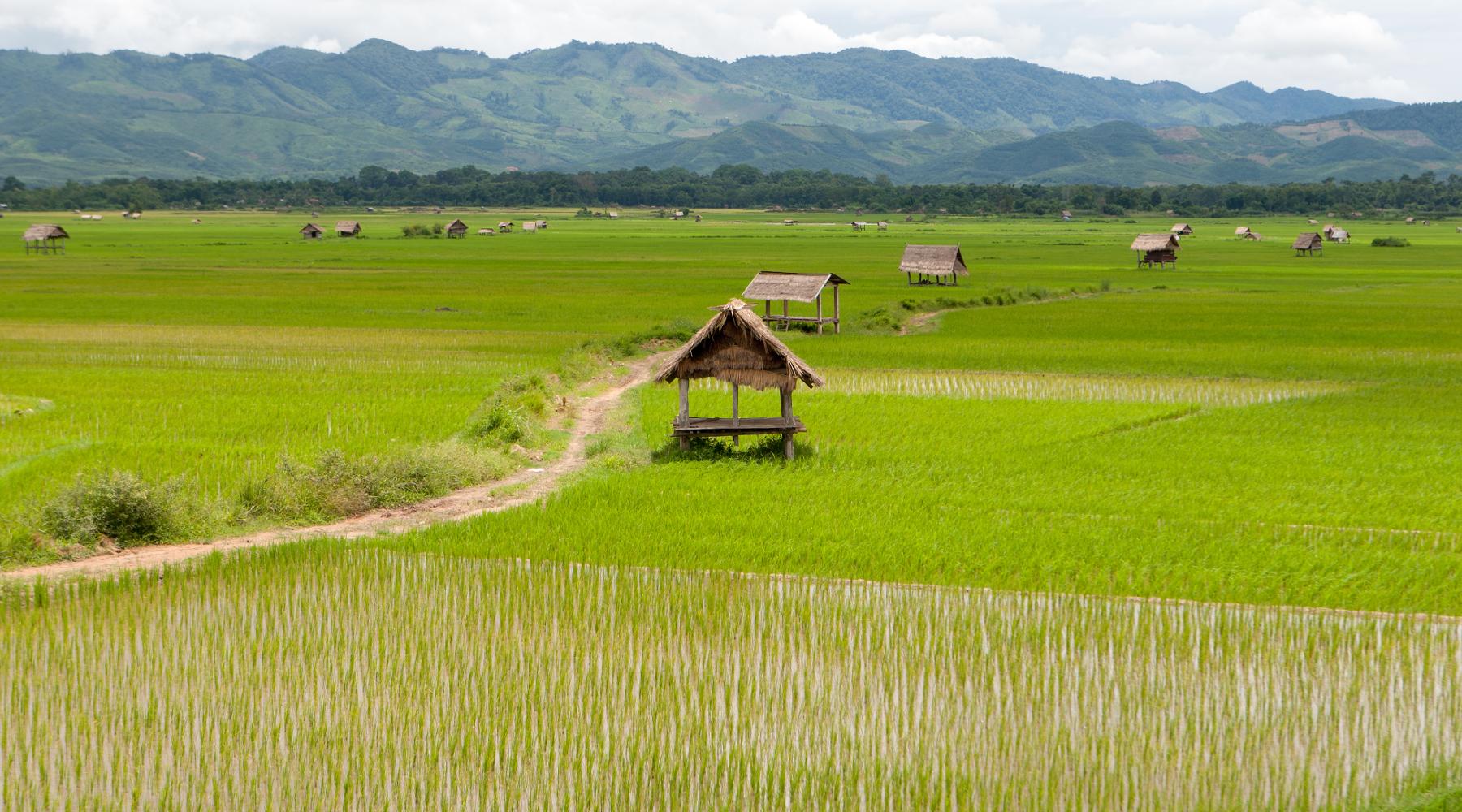 Northern Laos