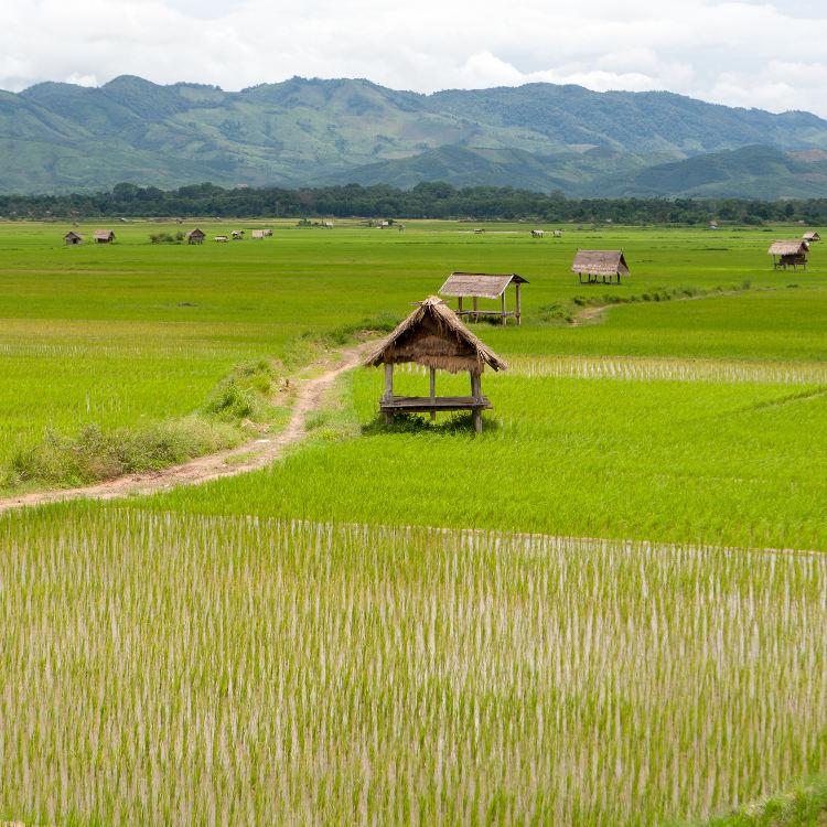 Northern Laos