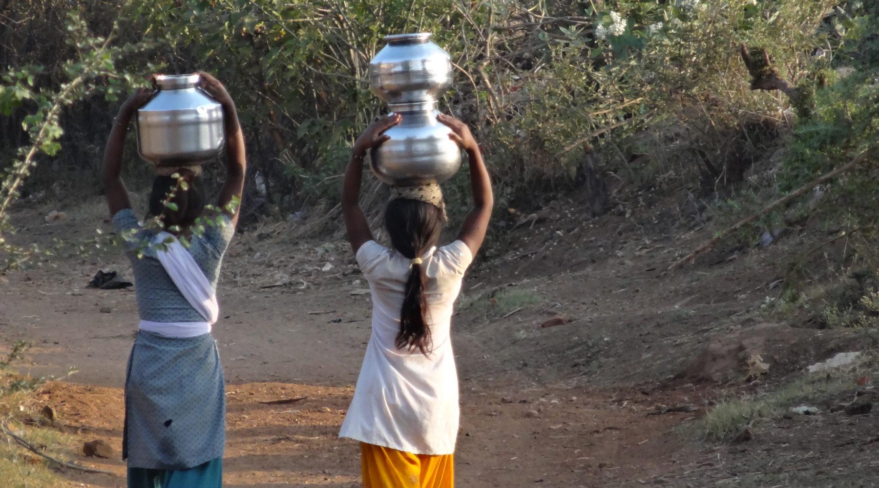 Satpura National Park