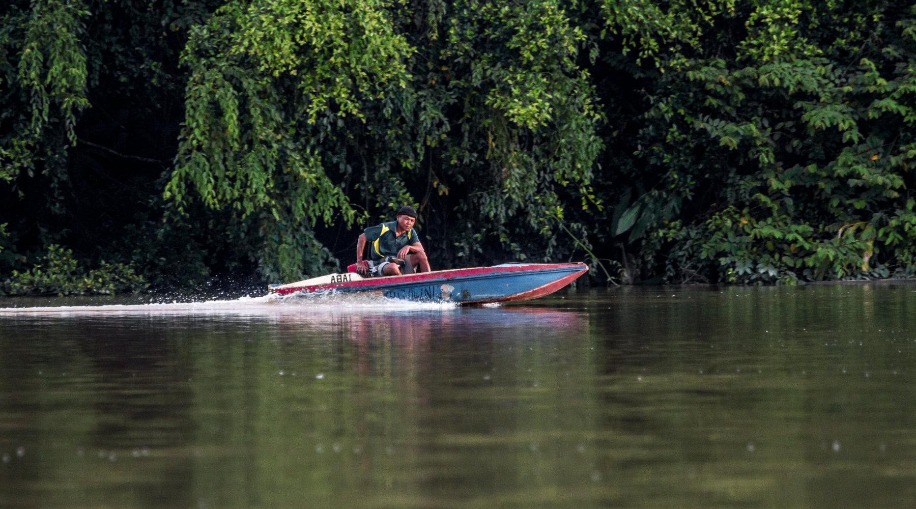 Kinabatangan River