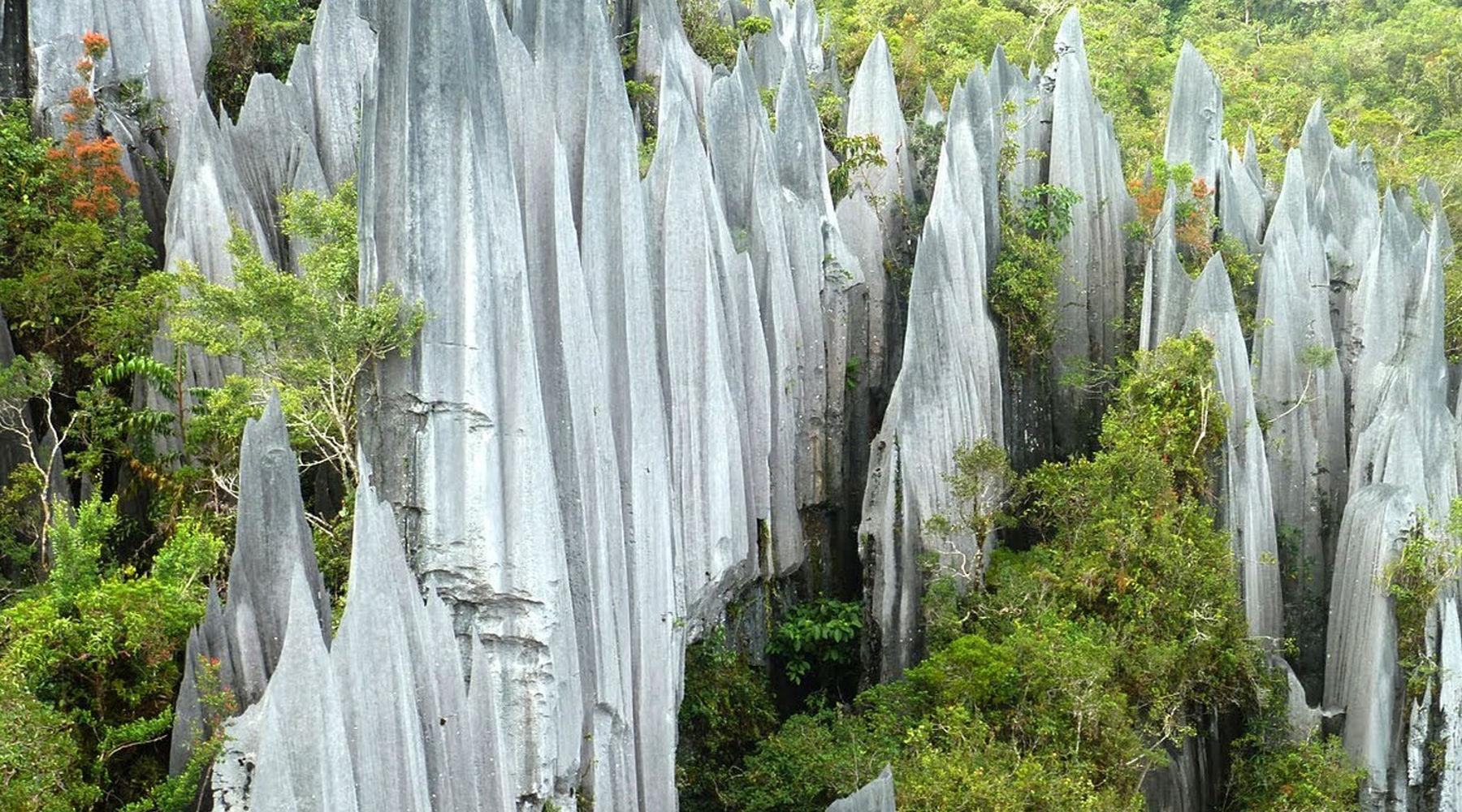 Mulu National Park